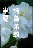 半夏,转角茉莉