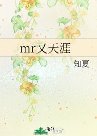 mr又天涯