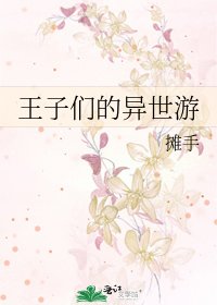 王子们的异世游